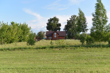 Obraz premium rural landscape with a house and trees