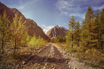 Fototapeta na wymiar auto road in high mountains