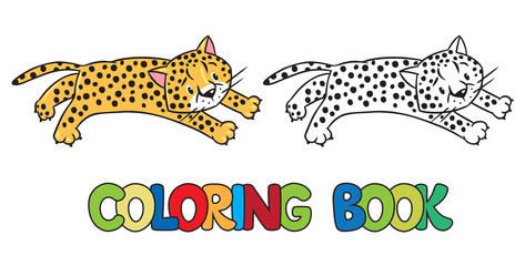 Coloring book of little cheetah or jaguar © passengerz