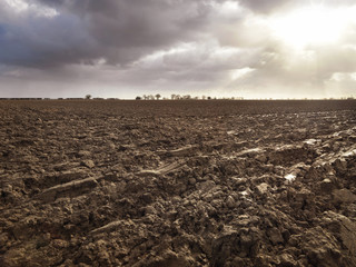 Freshly ploughed field
