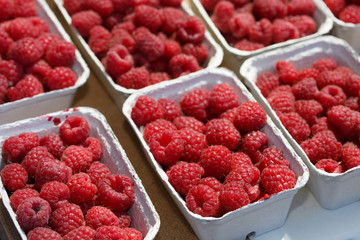 Raspberries on market