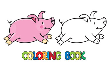Little pig coloring book