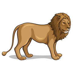 Lion 001