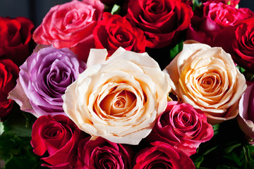 Strauss bunte Rosen (Rosa), rot, lila, cremefarben, dunkler Holz