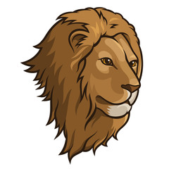 Lion 002