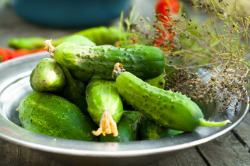 Cucumber pickled