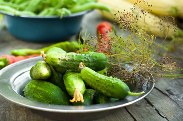 Cucumber pickled