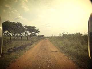 Mit dem Jeep auf Safari