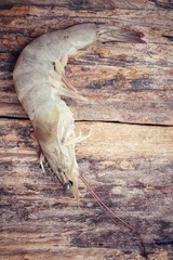 Raw shrimp