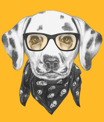 Portrait of Dalmatian Dog with glasses and scarf. Hand drawn illustration.