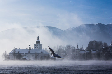 Bird over Winter Lake