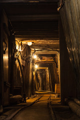Mineshaft