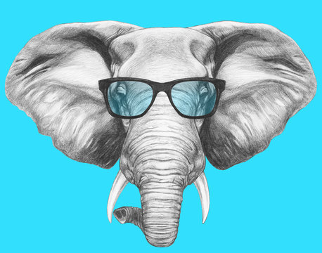 Portrait of Elephant with glasses. Hand drawn illustration.