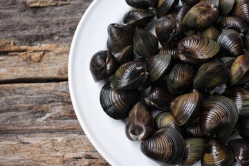Raw clams.