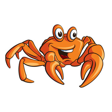 Crab 001