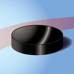 hockey puck on layout hockey court