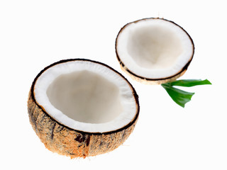 Coconuts on a white background