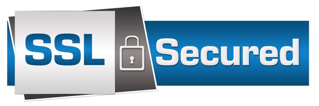 SSL Secured Blue Grey Lock Horizontal 