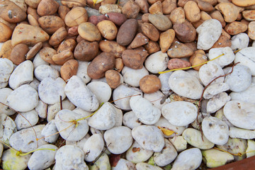 Texture of nature river rock stone