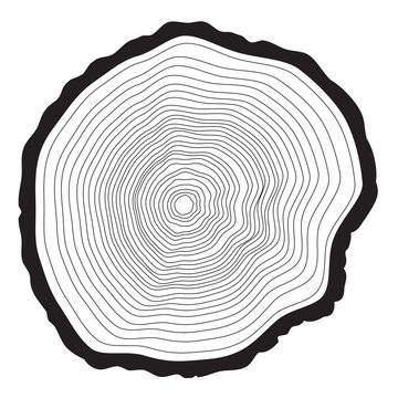 Tree rings background. Annual tree
