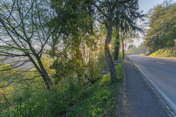 Fototapeta premium Good morning luxembourg