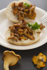 Chanterelle Sandwich