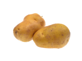 Fresh potatoes isolated on white background
