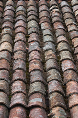 Old roof