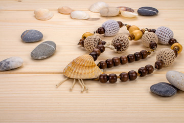 Handmade necklaces pendant from sea shells on the background lig