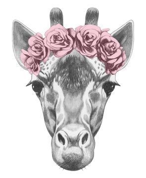 Portrait of Giraffe with floral head wreath. Hand drawn illustration.