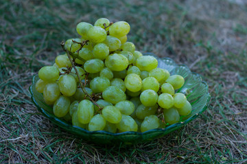Гроздь белого винограда 