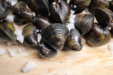 Raw clams.