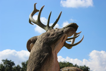 Hirsch im Moritzburger Schlosspark