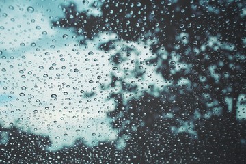 Water drop with tree