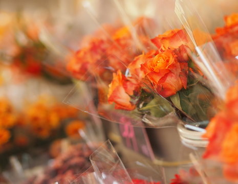 Fototapeta OLYMPUS DIGITAL CAMERA