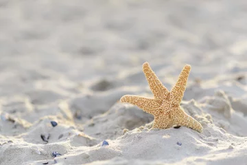 Foto op Aluminium zeester in het zand op het strand © sges