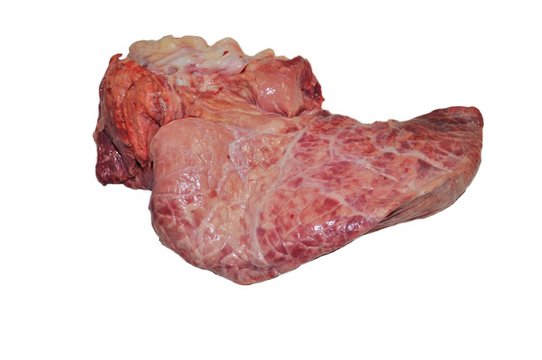 Polmone- carne di vitello chianino