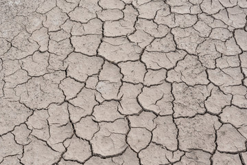 Crack soil on dry season