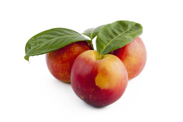 fresh nectarines