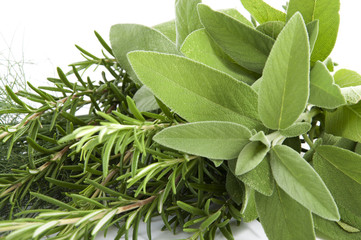 Obraz premium mik fennel, rosemary and sage