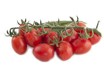 red tomatoes with basil and parsley