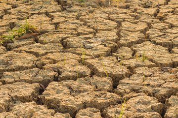 Cracked and Arid Mud Ground Dry without water