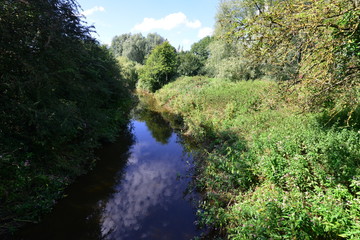Obraz premium River Mole in Horley, Surrey, England.