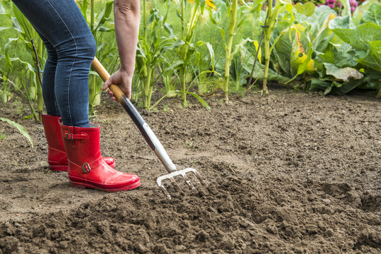 Gartenarbeit - Umgraben