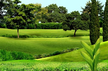 Campo da golf