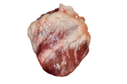 Cuore di vitello
