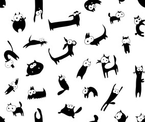 Funny animals