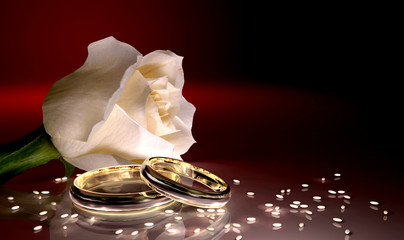 Rosa Bianca con fedi