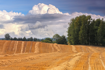 po żniwach © Janusz Lipiński