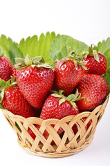 red strawberries